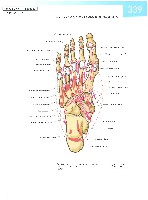 Sobotta  Atlas of Human Anatomy  Trunk, Viscera,Lower Limb Volume2 2006, page 346